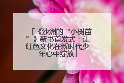 《沙洲的“小树苗”》新书首发式：让红色文化在新时代少年心中绽放