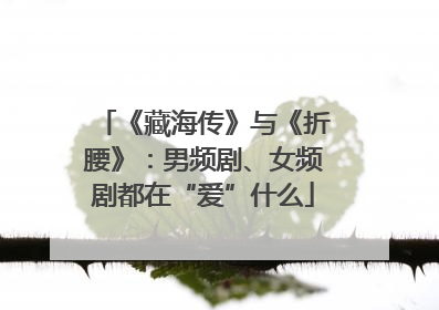 《藏海传》与《折腰》：男频剧、女频剧都在“爱”什么