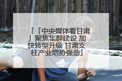 「中央媒体看甘肃」聚焦集群建设 加快转型升级 甘肃支柱产业增势强劲