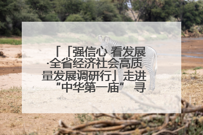 「强信心 看发展·全省经济社会高质量发展调研行」走进“中华第一庙” 寻根伏羲 祭祖龙城