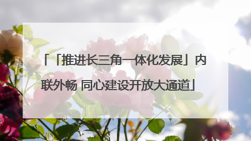 「推进长三角一体化发展」内联外畅 同心建设开放大通道
