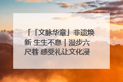 「文脉华章」非遗焕新 生生不息｜漫步六尺巷 感受礼让文化浸润的“巷”往生活