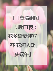 「高清组图」昆明宜良：花乡盛宴迎宾客 花海人潮庆端午