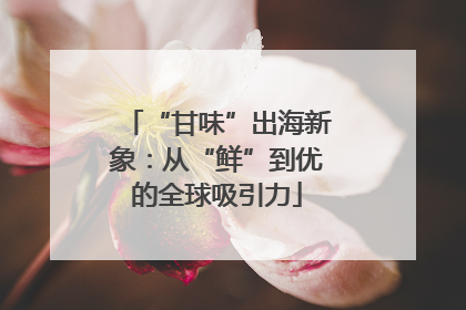“甘味”出海新象：从“鲜”到优的全球吸引力