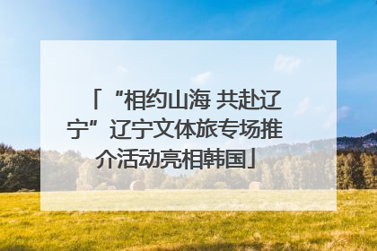 “相约山海 共赴辽宁”辽宁文体旅专场推介活动亮相韩国