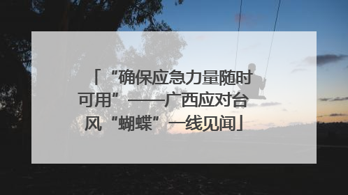 “确保应急力量随时可用”——广西应对台风“蝴蝶”一线见闻
