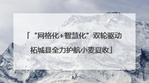 “网格化+智慧化”双轮驱动 柘城县全力护航小麦夏收