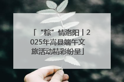 “粽”情洛阳丨2025年嵩县端午文旅活动精彩纷呈