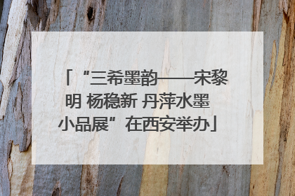 “三希墨韵——宋黎明 杨稳新 丹萍水墨小品展”在西安举办