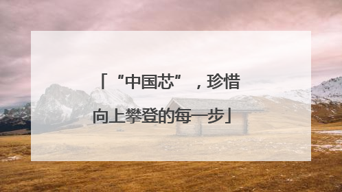 “中国芯”，珍惜向上攀登的每一步