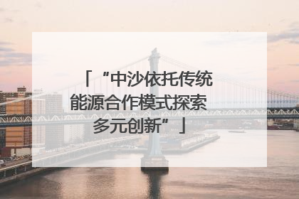 “中沙依托传统能源合作模式探索多元创新”