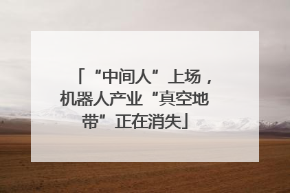 “中间人”上场，机器人产业“真空地带”正在消失