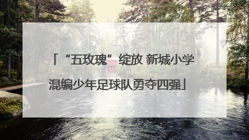 “五玫瑰”绽放 新城小学混编少年足球队勇夺四强