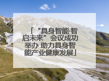“具身智能·智启未来”会议成功举办 助力具身智能产业健康发展