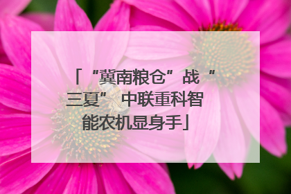 “冀南粮仓”战“三夏” 中联重科智能农机显身手