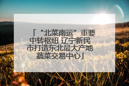 “北菜南运”重要中转枢纽 辽宁新民市打造东北最大产地蔬菜交易中心