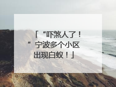 “吓煞人了！”宁波多个小区出现白蚁！