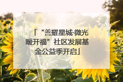 “善耀星城·微光暖开福”社区发展基金公益季开启