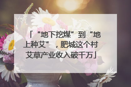 “地下挖煤”到“地上种艾”，肥城这个村艾草产业收入破千万