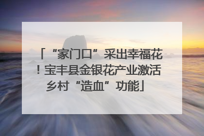 “家门口”采出幸福花！宝丰县金银花产业激活乡村“造血”功能