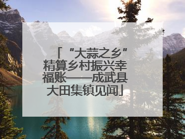 “大蒜之乡”精算乡村振兴幸福账——成武县大田集镇见闻