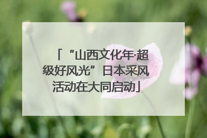 “山西文化年·超级好风光”日本采风活动在大同启动