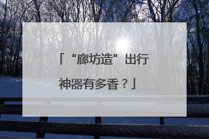 “廊坊造”出行神器有多香？