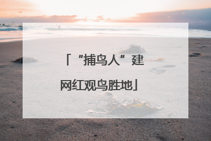 “捕鸟人”建网红观鸟胜地