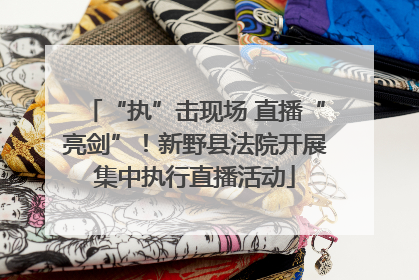 “执”击现场 直播“亮剑”！新野县法院开展集中执行直播活动