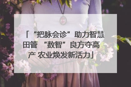 “把脉会诊”助力智慧田管 “数智”良方夺高产 农业焕发新活力