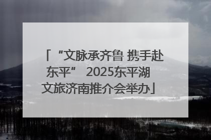 “文脉承齐鲁 携手赴东平” 2025东平湖文旅济南推介会举办