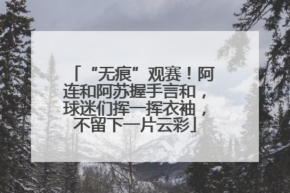 “无痕”观赛！阿连和阿苏握手言和，球迷们挥一挥衣袖，不留下一片云彩
