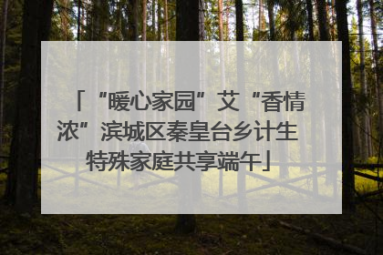 “暖心家园”艾“香情浓”滨城区秦皇台乡计生特殊家庭共享端午