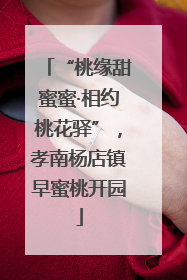 “桃缘甜蜜蜜·相约桃花驿”，孝南杨店镇早蜜桃开园