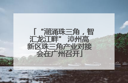 “潮涌珠三角，智汇龙江畔” 漳州高新区珠三角产业对接会在广州召开