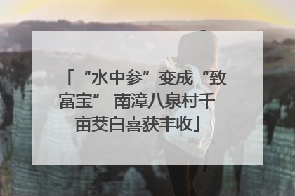 “水中参”变成“致富宝” 南漳八泉村千亩茭白喜获丰收