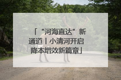 “河海直达”新通道丨小清河开启降本增效新篇章
