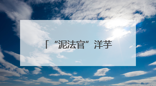 “泥法官”洋芋地里划界限 老王老郭都满意