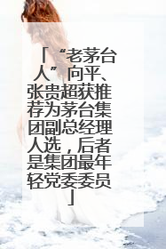 “老茅台人”向平、张贵超获推荐为茅台集团副总经理人选，后者是集团最年轻党委委员