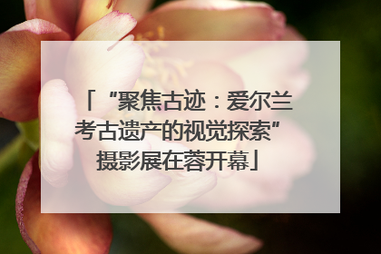 “聚焦古迹：爱尔兰考古遗产的视觉探索”摄影展在蓉开幕