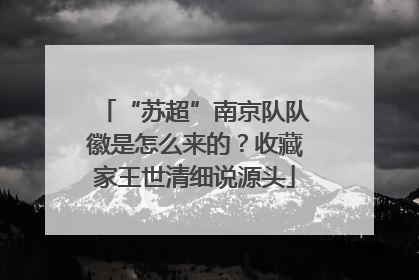 “苏超”南京队队徽是怎么来的？收藏家王世清细说源头