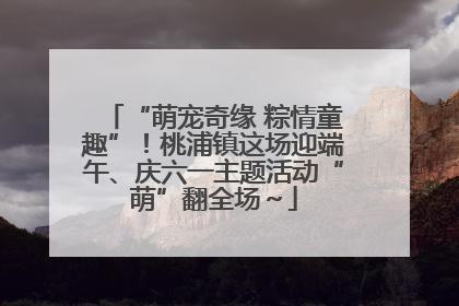 “萌宠奇缘 粽情童趣”！桃浦镇这场迎端午、庆六一主题活动“萌”翻全场～
