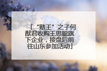 “赌王”之子何猷君收购王思聪旗下企业，接盘后前往山东参加活动