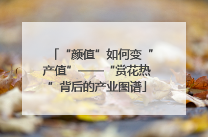 “颜值”如何变“产值”——“赏花热”背后的产业图谱