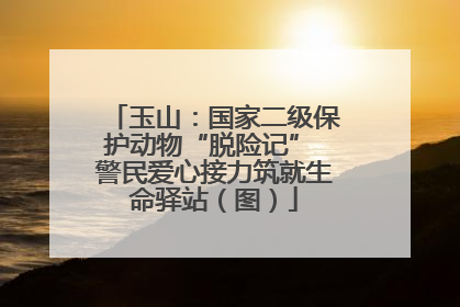 玉山：国家二级保护动物“脱险记” 警民爱心接力筑就生命驿站（图）