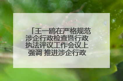 王一鸥在严格规范涉企行政检查暨行政执法评议工作会议上强调 推进涉企行政检查质效大幅提升