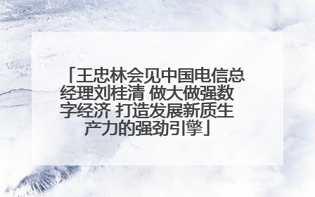 王忠林会见中国电信总经理刘桂清 做大做强数字经济 打造发展新质生产力的强劲引擎