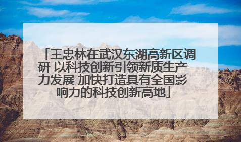 王忠林在武汉东湖高新区调研 以科技创新引领新质生产力发展 加快打造具有全国影响力的科技创新高地