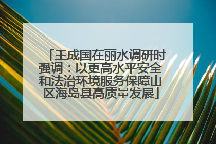 王成国在丽水调研时强调：以更高水平安全和法治环境服务保障山区海岛县高质量发展