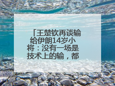 王楚钦再谈输给伊朗14岁小将：没有一场是技术上的输，都是心理上的输
